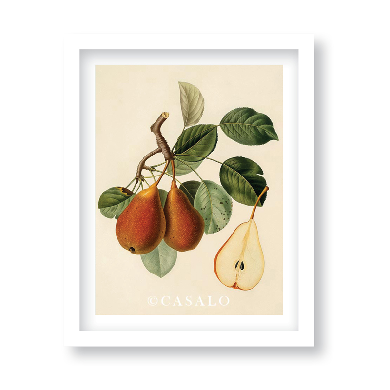 Vintage Pear Decoration – Catesbys